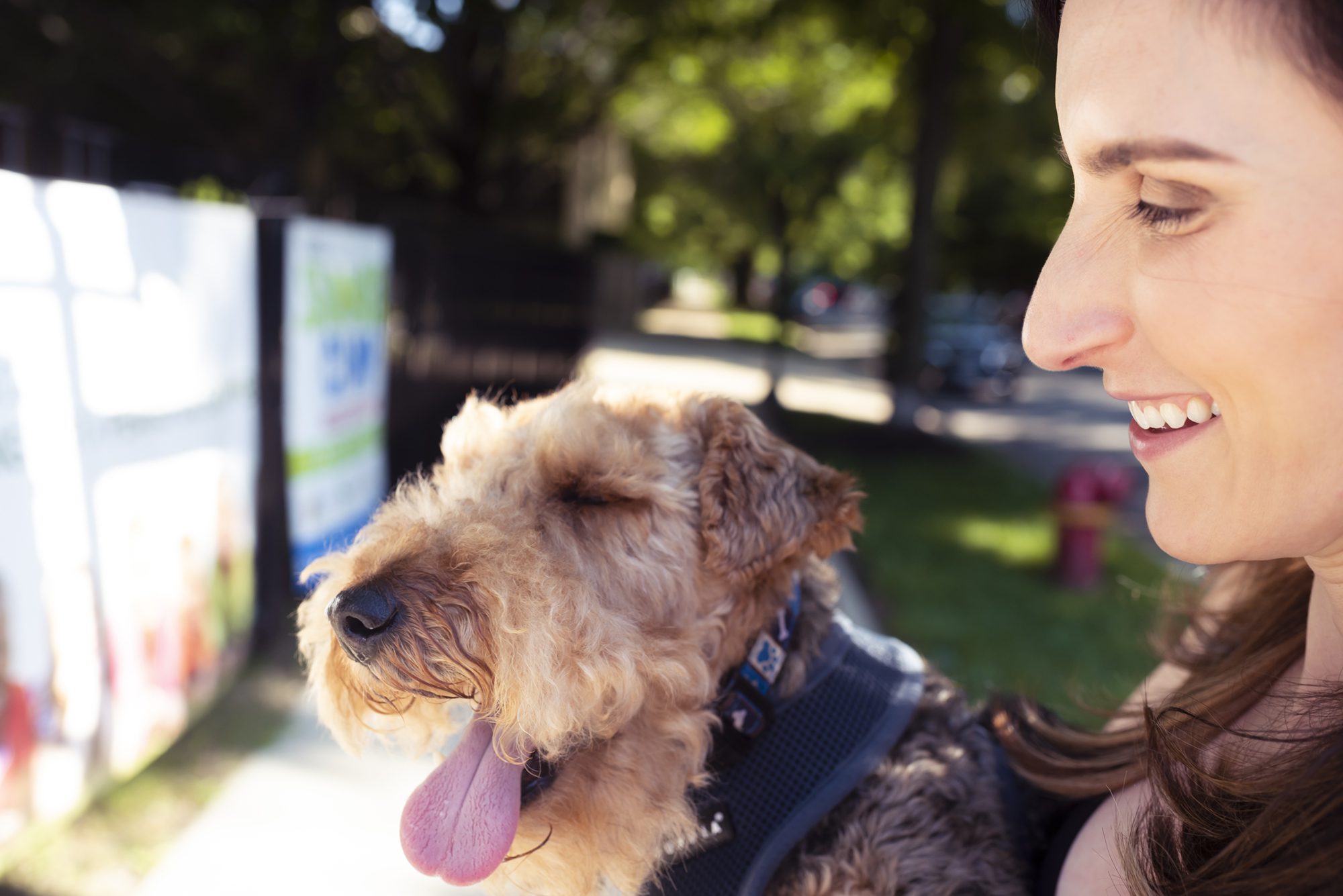 engagement shoot walk with dogs Chicago by Candice Cusic