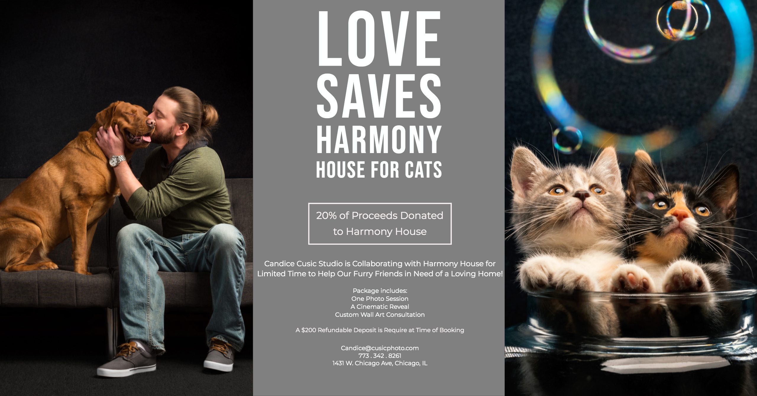 Love Saves Harmony House for Cats Chicago Wedding Photographer