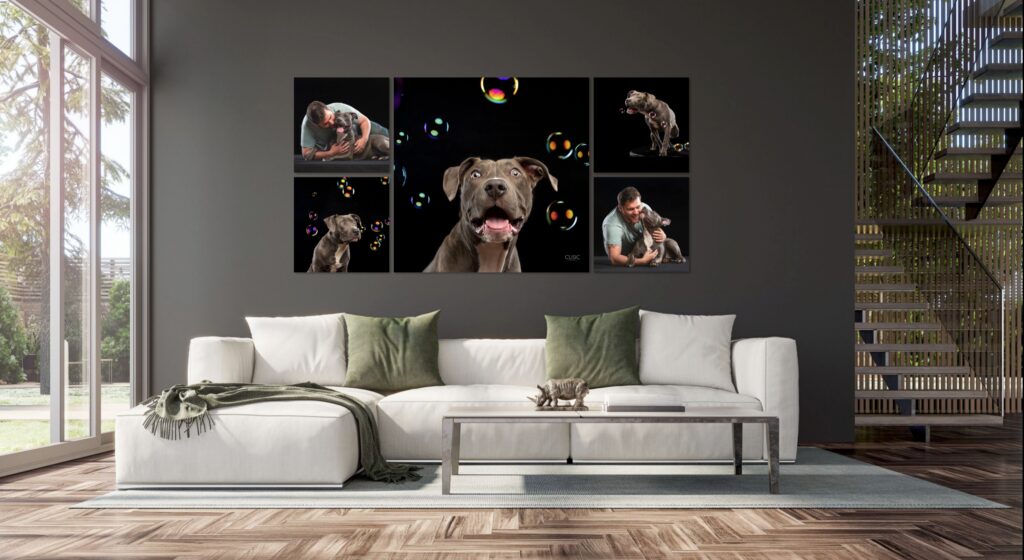 Fine artwork by Candice Cusic